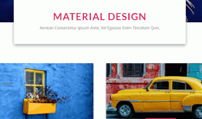 Adding Material Design To Your Website With Divi | Elegant Themes Blog