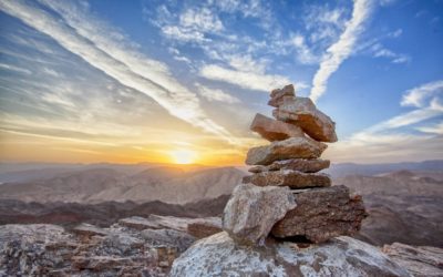 Generalists or Specialists – Finding Balance in Technology Providers