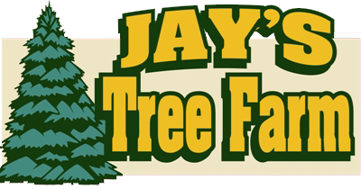 Growing A Great Website With Jay’s Tree Farm