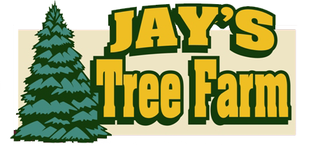 Growing A Great Website With Jay’s Tree Farm